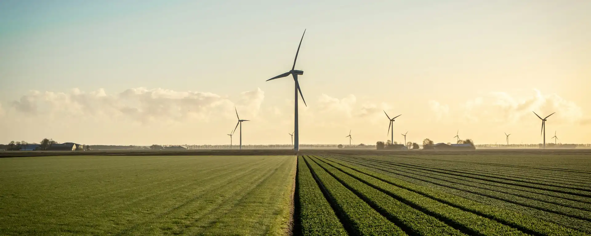 Windräder auf einem Feld